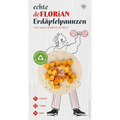 Erdäpfelpaunzen