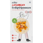 Erdäpfelpaunzen